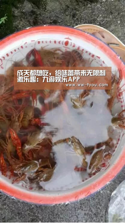 九游娱乐官网